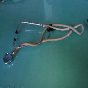 平凡的世界(星辰木)