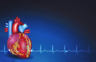  医学动画：跳动的心脏和血液流动