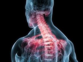 医学动画: 正常脊髓功能