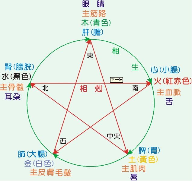执业中药师：《中药综合》五行学说