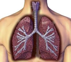 医学动画：肺炎