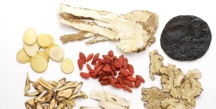 执业药师：中药鉴定学（1）