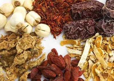 执业药师考试：中药鉴定学（5）