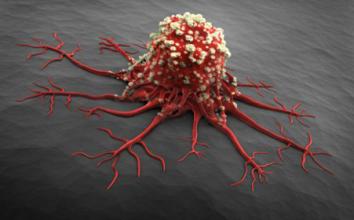 医学动画：纳米技术用作癌症的靶向治疗