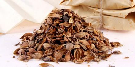 执业药师：黄酮类常用中药