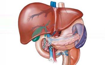 医学动画：带你了解门静脉高压
