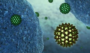 【医学动画】肝炎病毒破坏肝的过程演示