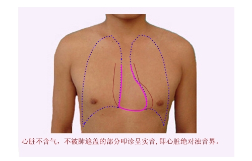 [教育]医学视频肺部叩诊