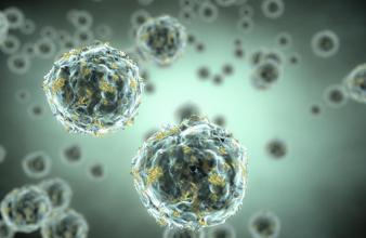 医学动画：噬菌体如何感染细菌的