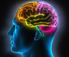 医学动画：帕金斯病原理预防治疗方法