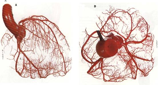 冠脉微循环障碍如何诊治？