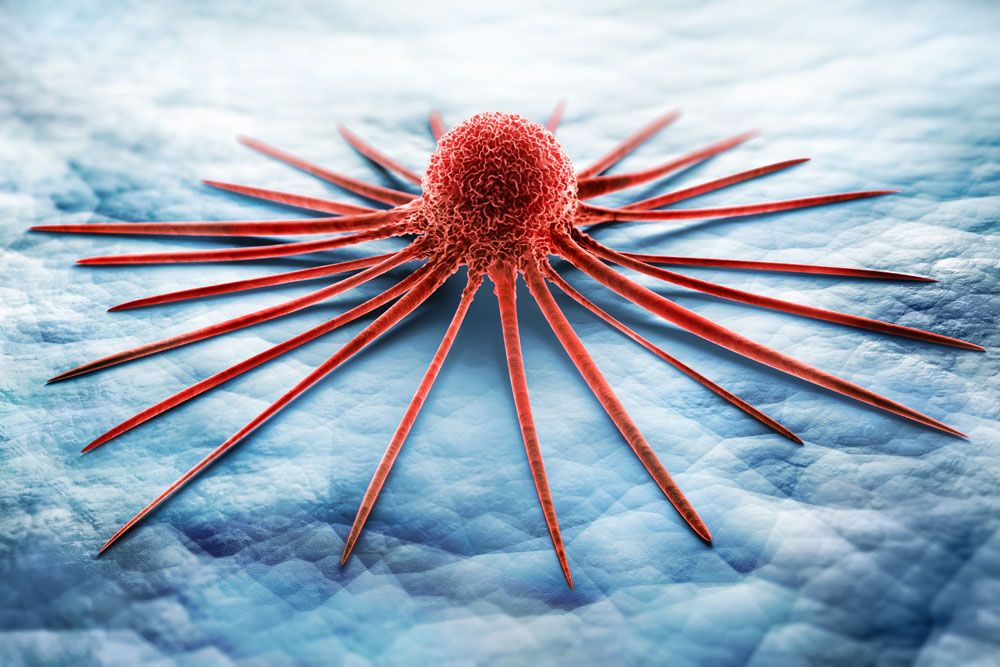 【医学动画】流感病毒传播过程及致病原理动画展示