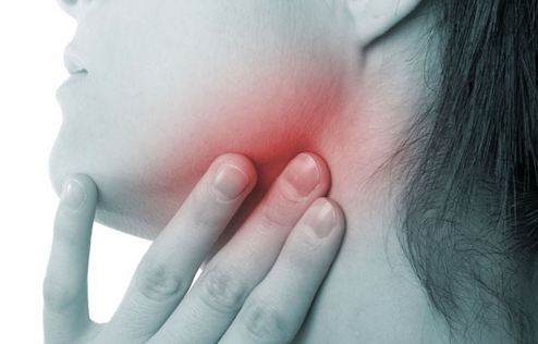 神经外科头颈部解剖 