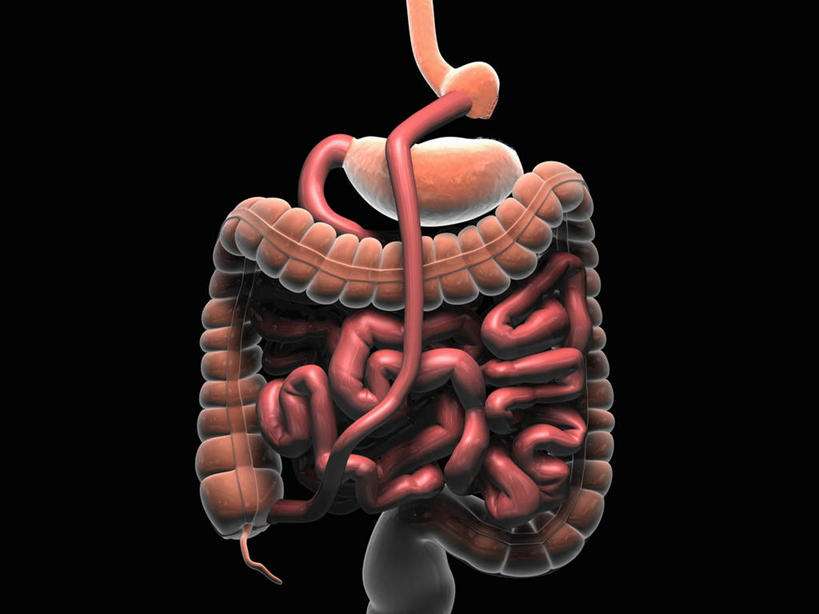 大肠癌是怎么发生的你了解吗？