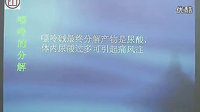 2011执业医师考试视频-生物化学7